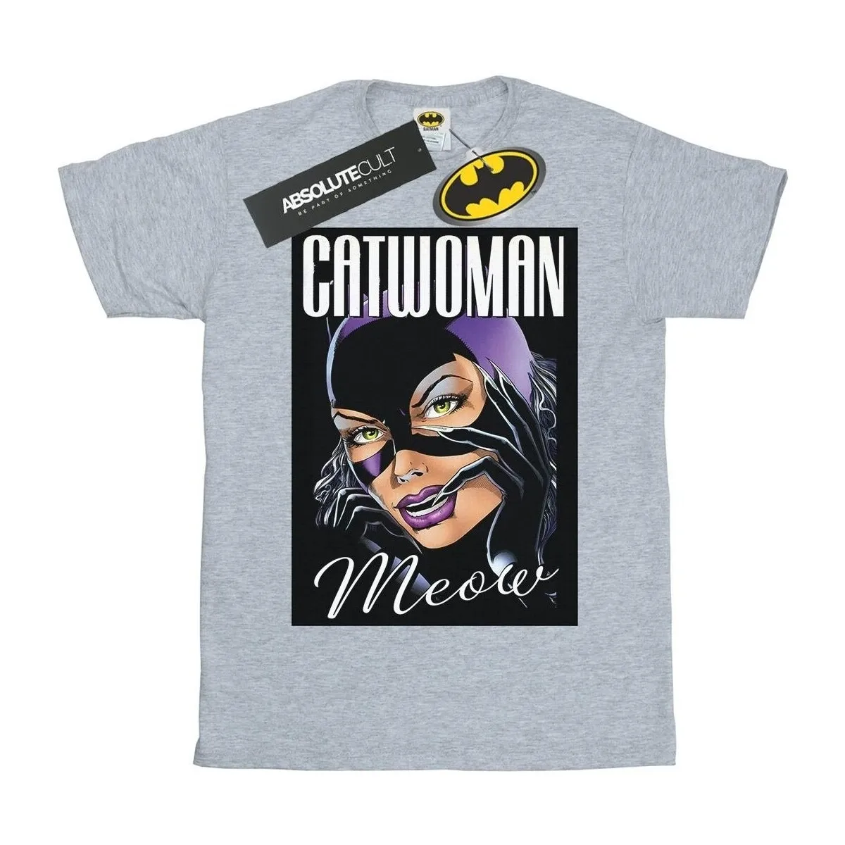 Batman Catwoman Feline Fatale