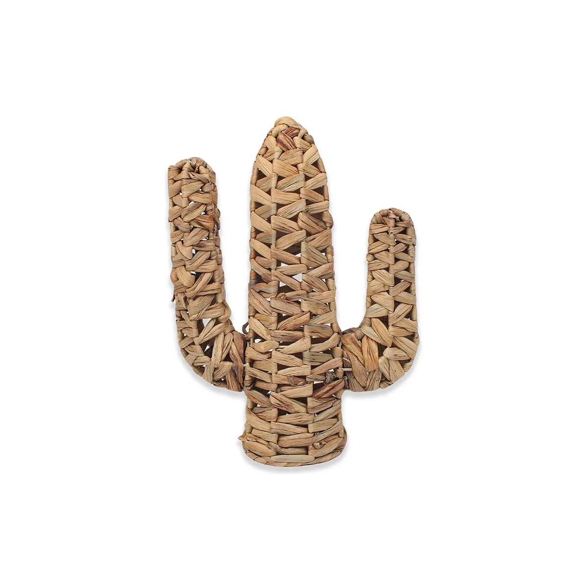 Cactus Decoracion