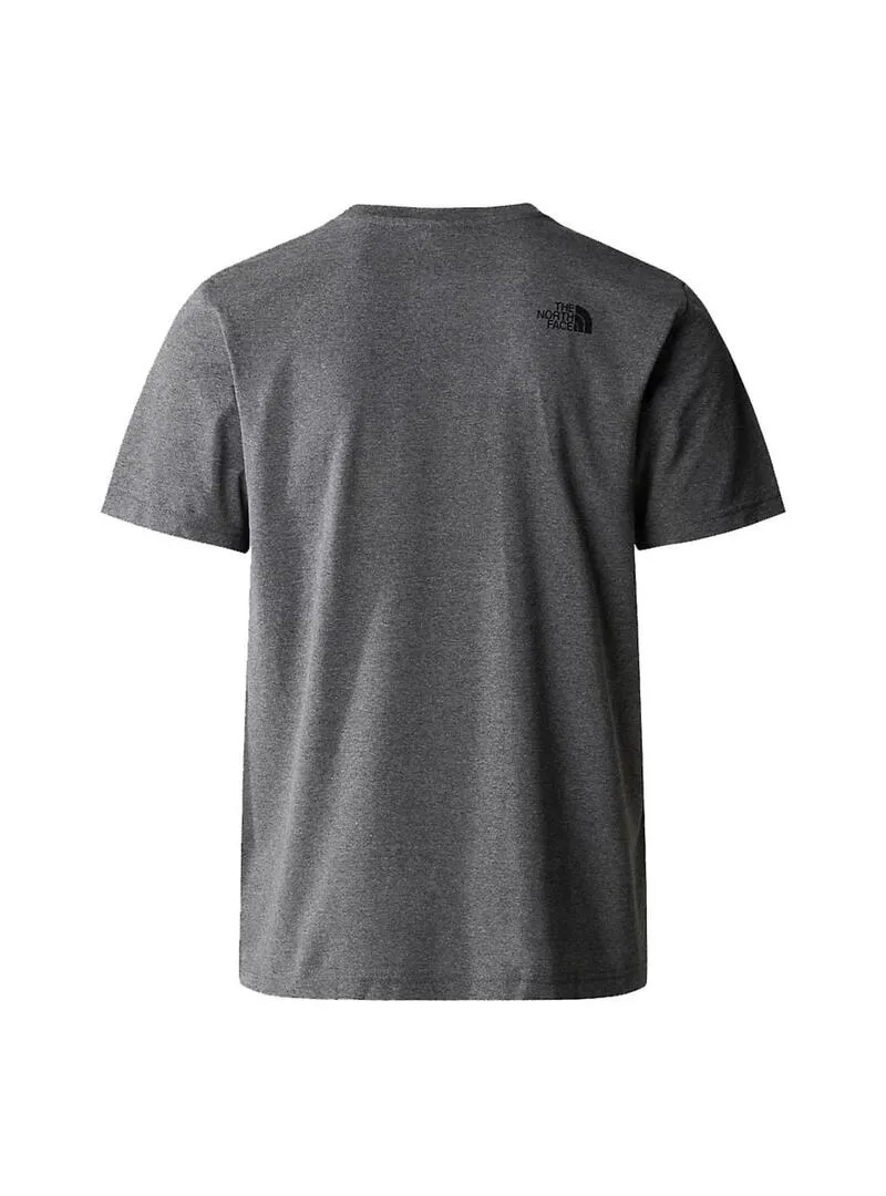 Camiseta Hombre The North Face Easy Gris