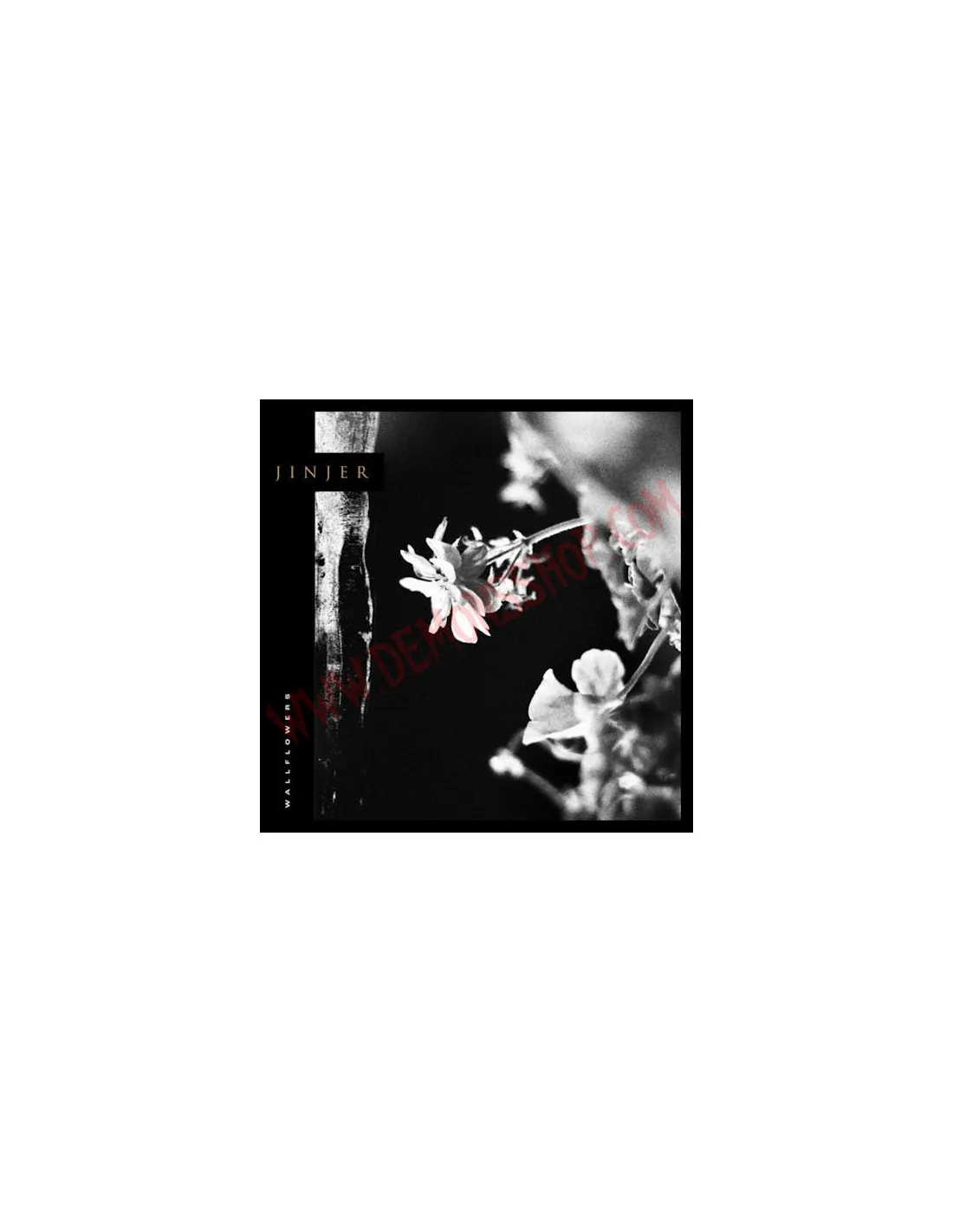 CD JINJER  WALLFLOWERS