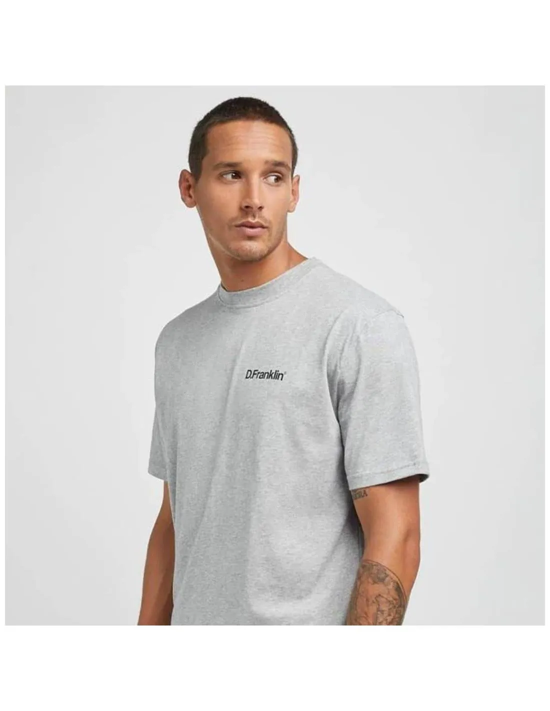 D. FRANKLIN  CAMISETA DF BASIC GREY