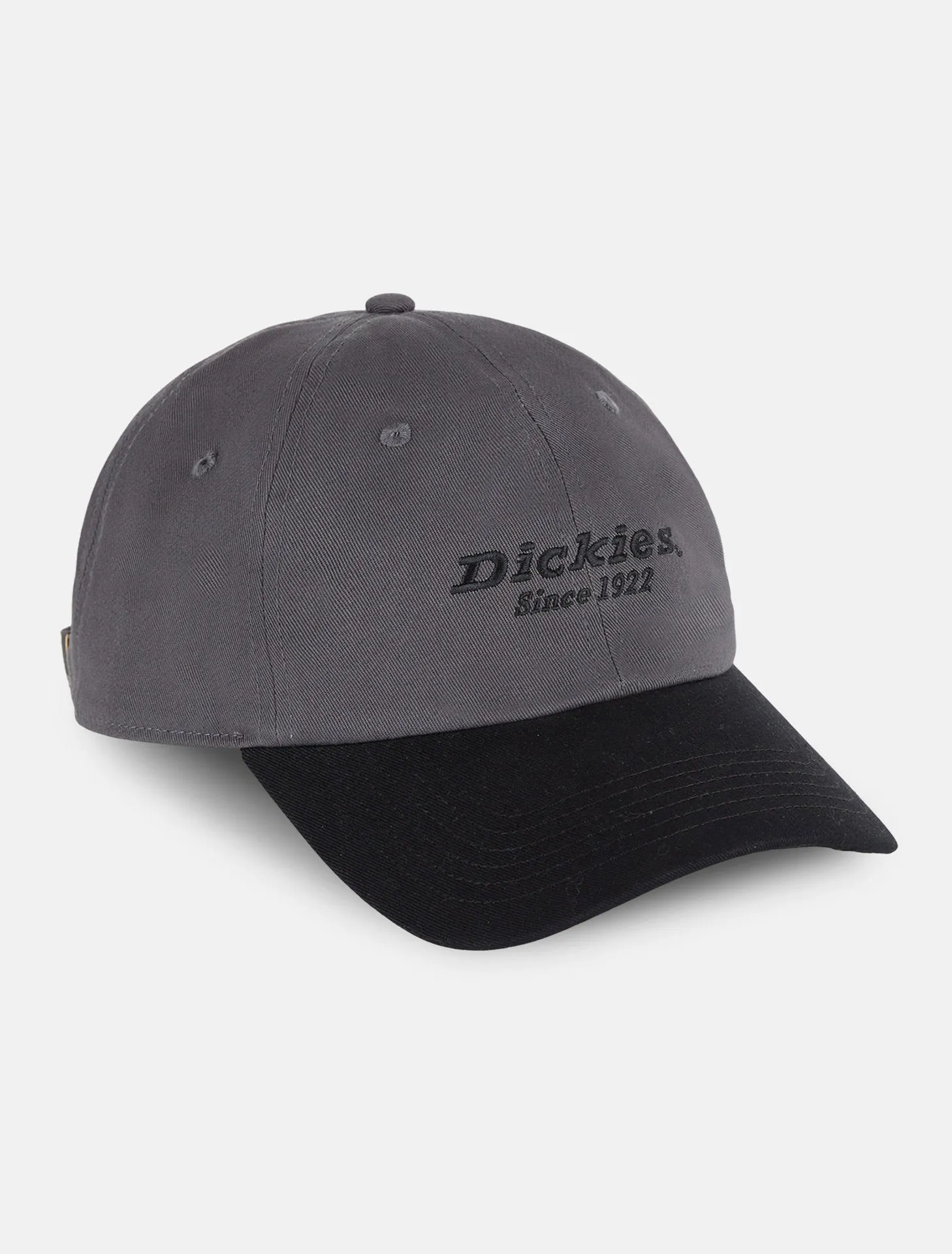 Dickies Everyday Twill Cotton Cap