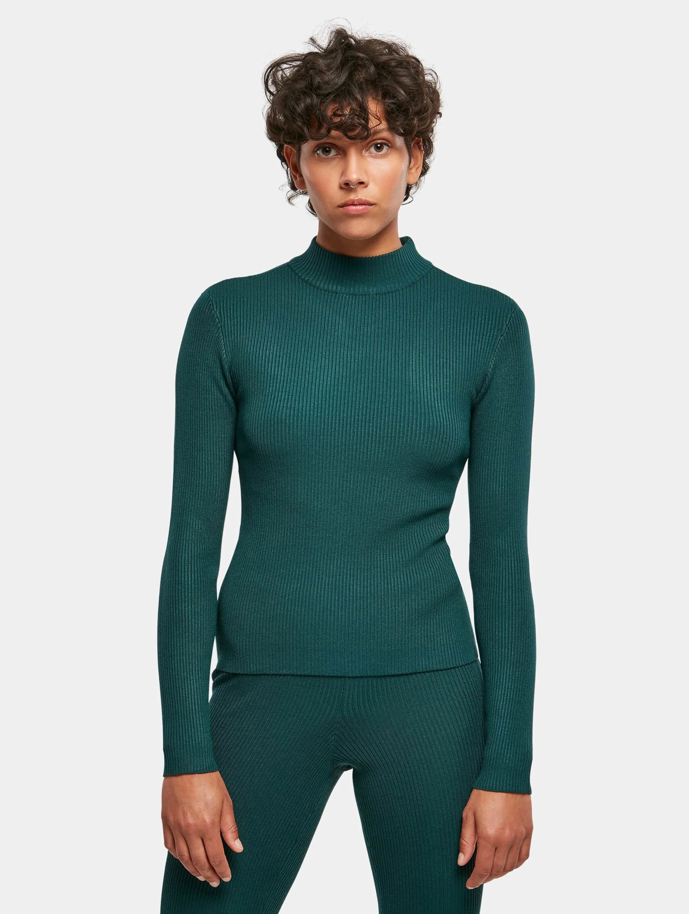 Ladies Rib Knit Turtelneck