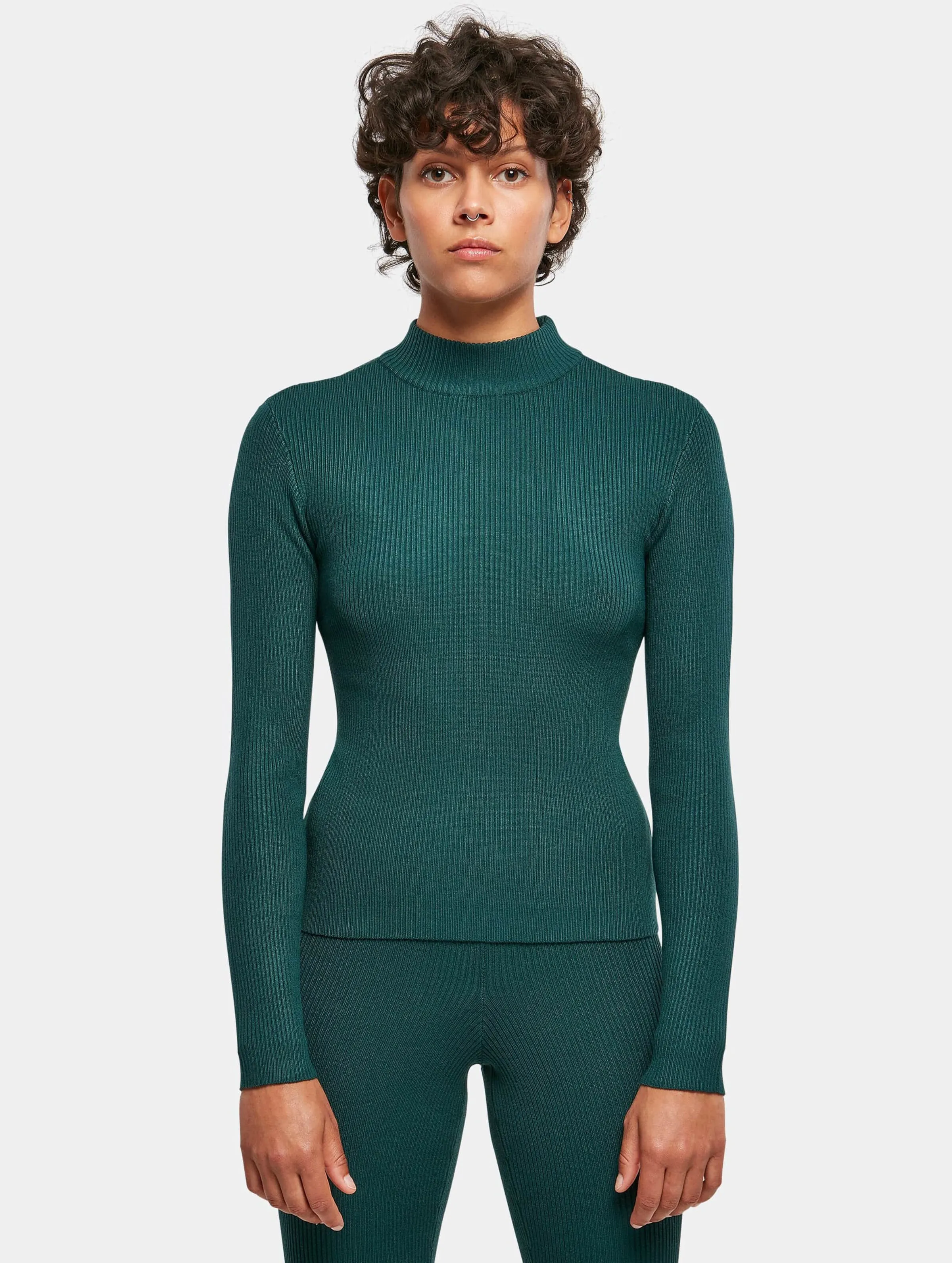 Ladies Rib Knit Turtelneck